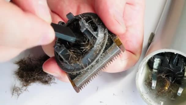 Επισκευαστής Κομμωτή Μαλλιών Καθαρισμός Του Χορτοκοπτικού Από Μαλλιά Χέρια Καθαρίζουν — Αρχείο Βίντεο