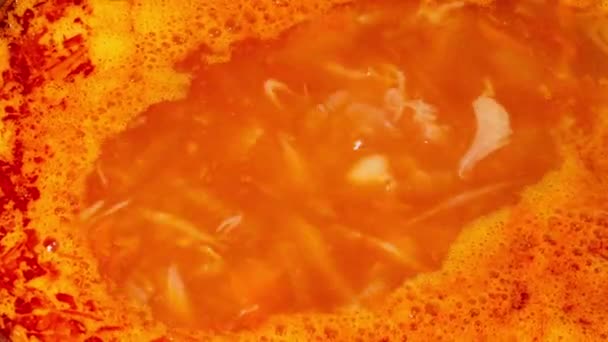 Borscht Ucraino Bollente Bel Filmato Culinario Sfondo Cottura Zuppa Rossa — Video Stock