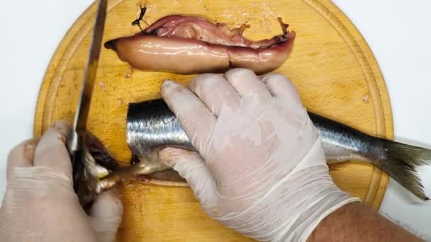 Cortar Peixe Peixe Arenque Salgado Cortado Pedaços Com Uma Faca — Vídeo de Stock