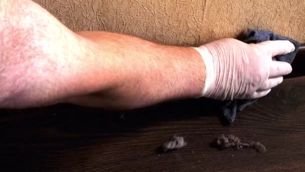这只手擦去底板上的浓灰 用湿湿的抹布抹去李子上的灰尘 清洁肮脏的地面房屋消毒 公寓的严重污染 清洁服务 — 图库视频影像
