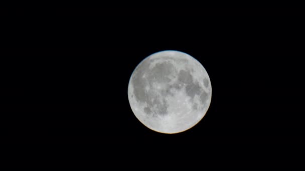 Big Full Moon Sets Night Sky Moon Gradually Descends Black — Stock Video