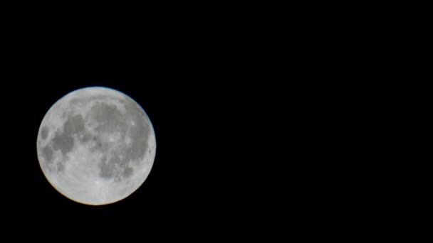 밤하늘에서 솟아오르는 보름달 서서히 하늘로 올라갑니다 아름다운 달빛의 별이없는 어두운 — 비디오