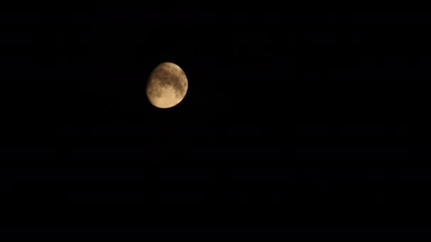 Klar Måne Svarte Skyer Den Delvis Klare Månen Setter Seg – stockvideo