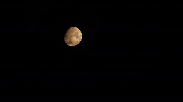 Heldere Maan Zwarte Wolken Zwarte Wolken Drijven Tegen Achtergrond Van — Stockvideo