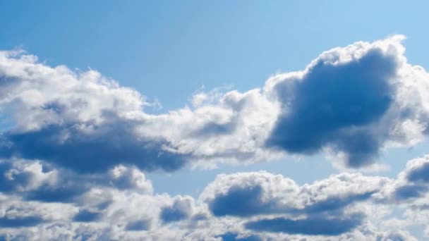 Cielo Azul Nubes Blancas Nubes Blancas Esponjosas Hinchadas Video Nube — Vídeos de Stock