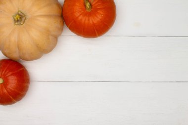 Balkabaklarıyla cadılar bayramı geçmişi. Düz yatıyordu. Cadılar Bayramı figürlü çerçeve beyaz masa, üst manzara. Kutlama ve davetiye için Cadılar Bayramı süsleri. Cadılar Bayramı konseptin kutlu olsun. Tatil arkaplanı