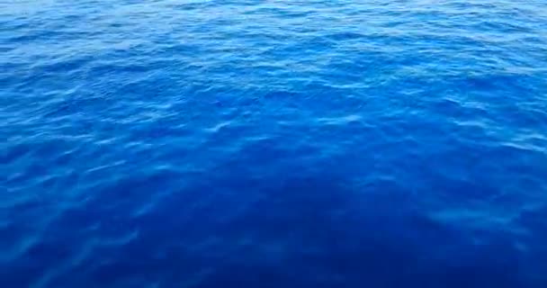 Vysoká Kvalita Dokonale Bezešvé Smyčky Hlubokých Modrých Oceánských Vln Podmořského — Stock video