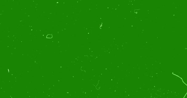 绿色Vhs故障噪声背景现实的闪烁 模拟老式电视信号干扰严重 静态噪音背景 覆盖就绪 与着色键绿色屏幕和阿尔法 — 图库视频影像