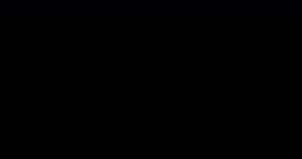 Soyut Boya Fırçası Vuruşu Şekli Beyaz Mürekkep Akışı Krom Anahtar — Stok video