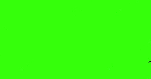 Abstracte Verfkwast Slagvorm Witte Inkt Spetteren Wassen Chroma Toets Groen — Stockvideo
