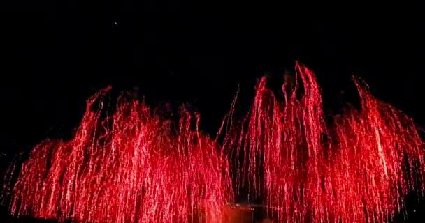 Bunte Abstrakte Blinkt Funkeln Feier Feuerwerk Lichter Auf Schwarzem Hintergrund — Stockvideo
