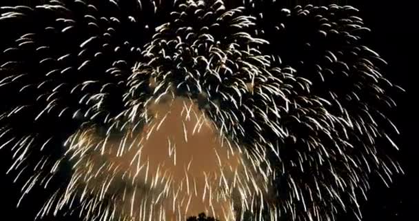 五彩缤纷的真正抽象闪烁着欢庆的焰火 在黑色的背景下 欢度新年佳节 — 图库视频影像