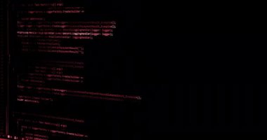 Bilgisayar, teknoloji ve siber güvenlik hakkında program kodlarını hacker 'lar kaydeder