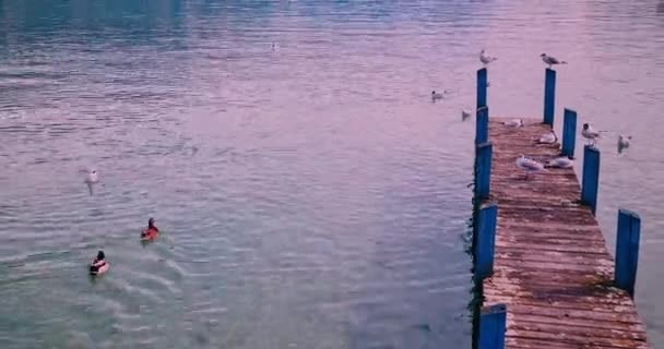 Annecy France Molo Blízkosti Jezera Anexe Zvané Jako Benátky Alp — Stock video