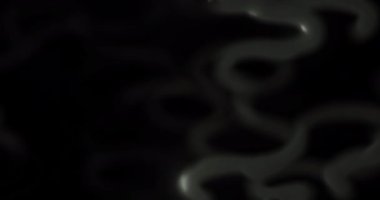 Siyah zemin üzerinde kıvrımlı parlak çizginin soyut gümüş optik hareketi, bilim kavramı