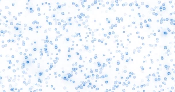 动画白色背景的蓝色微球运动 混乱的运动就像人类医学 — 图库视频影像