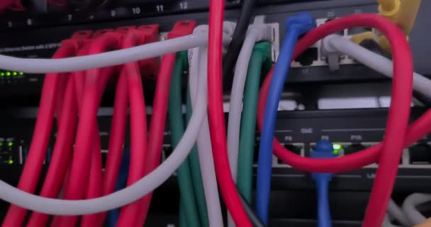 Movimiento Cámara Cables Colores Conexiones Ethernet Servidores Interruptores Centro Datos — Vídeo de stock