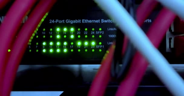Cables Colores Conexiones Ethernet Con Servidores Led Multicolores Interruptores Centro — Vídeo de stock