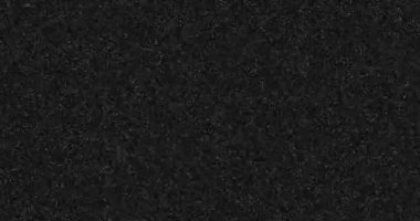 soyut siyah-beyaz gerçekçi ekran arızası titreşiyor, analog klasik televizyon sinyali ile kötü parazit ve renk çubukları, statik gürültü