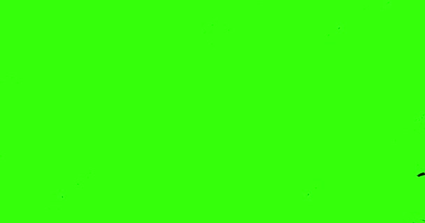 Abstracte verfkwast slagvorm witte inkt spetteren en wassen op chroma toets groen scherm, inkt spetteren effect met — Stockvideo