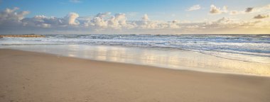 Güneş doğduktan sonra sabahın erken saatlerinde Cotton Tree sörf plajının panoramik manzarası. Dalgalar sert ve kumlu sahilde şiddetli bir şekilde kırılıyor..