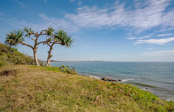 Vista Norte Oceano Pacífico Costa Point Arkwright Lookout Sunshine Coast — Fotografia de Stock