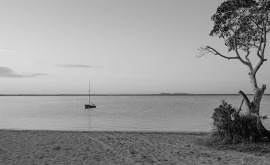 Cootharaba Gölü 'nün sakin sularında yalnız bir teknenin yalnızlığı. Bir sonbahar sabahının erken saatlerinde, siyah beyaz bir görüntü..