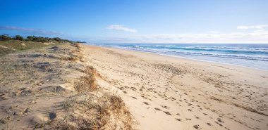 Sahildeki yaşam tarzı. Tatil tatili için tatil yeri. İlham verici bir atmosfer. Balayı sörfü macerası. Günışığı Sahili Queensland.