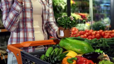 Dinamik bir alçak açılı çekim şık bir kareli gömlek giyen bir kadını canlı bir çiçek saksısı yerleştirirken ve alışveriş arabasının içine kırmızı çiçekler açarken yakalar. Çevrelenmiş