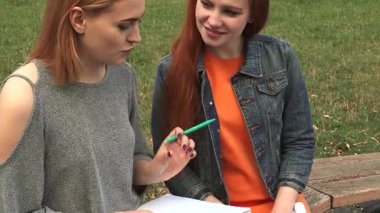 Birinde sarı saçlı, diğerinde çarpıcı kırmızı bukleli iki genç kadın, ahşap bir bankta ders çalışmakla derinden meşguller. Sahne, yemyeşil çimenler ve hafif esintiyle çevrili bilgileri paylaşırken odaklanmış ifadelerini yakalıyor.