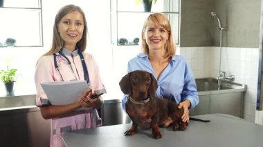 Parlak bir veteriner kliniğinde neşeli bir veteriner ve mutlu bir köpek sahibi muayene masasında bir Alman porsuk köpeğiyle poz veriyor. Sıcak gülümsemeler ve dostane atmosfer, evcil hayvanlarla sahipleri arasındaki bağı gösteren şefkatli bir ortamı yansıtıyor.