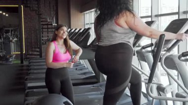İki kendine güvenen artı cüsseli kadın modern bir spor salonunda eliptik spor ayakkabıları üzerinde çalışırken canlı bir sohbete girişiyor. Hareketli spor kıyafetleri ve destekleyici enerjileri fitness ve dostluk için ilham verici bir atmosfer yaratır.