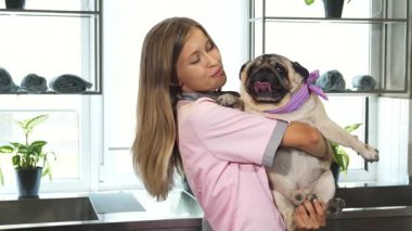 Pembe bornozlu neşeli genç bir kadın sevgi dolu bir köpeğe sarılmış, samimi bir bağ sergiliyor. Renkli bir eşarpla süslenen pug mutluluk yayarken, parlak, havadar veteriner kliniği olay yerine biraz sıcaklık ve özen katıyor.