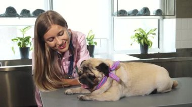 Genç, gülümseyen bir kadın veteriner, veteriner masasında gevşemiş bir köpeğe sevgiyle dokunur. İçtenlik ve bakım yayar. Renkli bir eşarpla süslenen pug, sağlık ve sükunet yayar, yatıştırıcı yeşil bitkiler ve parlak, davetkar
