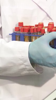 Kendini işine adamış beyaz önlüklü ve mavi lateks eldivenli bir erkek laboratuvar teknisyeni canlı test tüplerini veri girişi için dikkatlice bilgisayardan bilgisayara aktarıyor. Bu dinamik sahne teknoloji ve biyolojinin kesişimini vurgular.