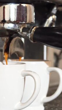 Kahve makinesi, iki el değmemiş beyaz fincana dönüşerek ustalıkla zengin, altın espresso demlerken heyecanla uğulduyor. Bu davetkar sahne, bir baristanın sanatını yakalıyor. Duyuları uyandıran hoş bir kafein deneyimi vaat ediyor.