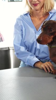 Parlak ve misafirperver bir veteriner kliniğinde, kendini akıcı sarı saçlı bir veteriner, bir Alman porsuk-köpeğini nazikçe inceleyerek, sağlığıyla ilgili notlar alır. Yumuşak mavi bir bluz giyen dikkatli sahibi köpeklerin tüylerini okşar.