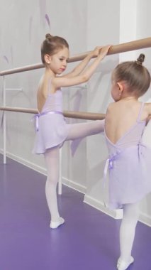 Parlak bir bale stüdyosunda, lavanta taytlı iki sevimli küçük balerin barda zarif bir şekilde esneyerek etkileyici esnekliklerini ve adanmışlıklarını sergiliyorlar. Yumuşak mor zemin ve tuhaf duvar dekoru büyülü bir atmosfer yaratıyor.