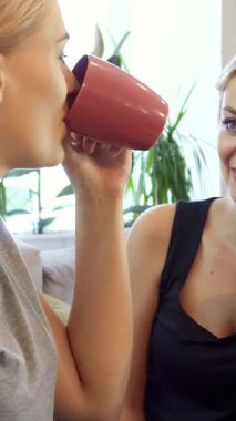 İki genç sarışın büyüleyici bir kafede oturmuş, neşeli bir şekilde kahve ve çay fincanlarını yudumluyor ve bir animasyon sohbeti yapıyorlar. Işıl ışıl gülümsemeleri ve rahat titreşimleri davetkar bir atmosfer yaratarak izleyicilere sıcaklıklarını hissettirdi.