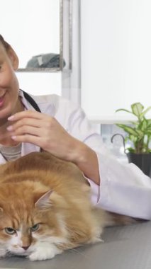 Gıcır gıcır beyaz ceketli neşeli bir bayan veteriner muayene masasında rahatça dinlenen tüylü bir kızıl kediyi sevgiyle besliyor. Kliniğin canlı yeşil bitkilerle zenginleştirilmiş davetkar atmosferi, beslenme biçimini güzel bir şekilde gösteriyor.