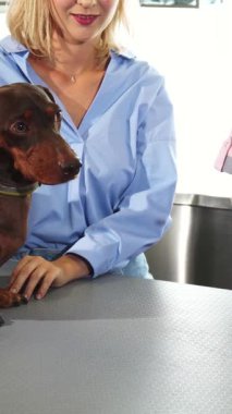 Parlak ve misafirperver bir veteriner kliniğinde, uzun sarı saçlı bir veteriner, bir Alman porsuk-köpeğini nazikçe inceleyerek, sağlığıyla ilgili notlar alır. Şefkatli sahibi, sıcak bir gülümsemesi olan bir kadın, köpeklerin tüylerini okşar,