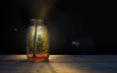 Kavanozun içindeki sonbahar ormanı, dışarıda düşen akçaağaç yaprakları, mevsim konsepti.