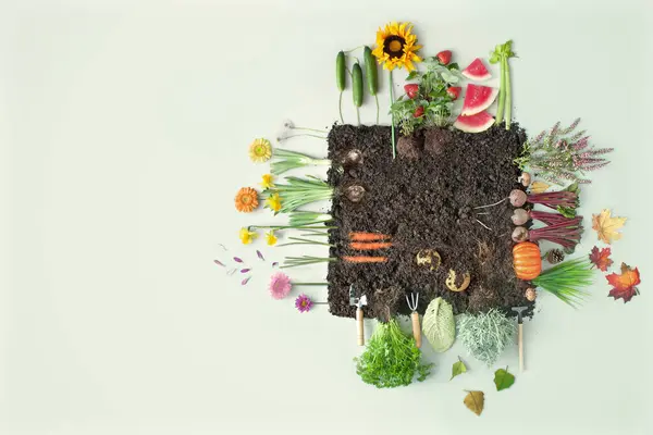 Bio Obst Und Gemüsebeet Für Vier Jahreszeiten Stockfoto