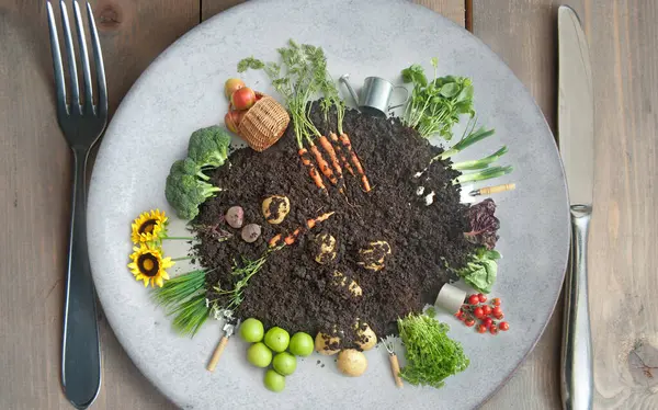 在有餐具的盘子上的生态堆肥圈中生长的有机水果和蔬菜 图库图片