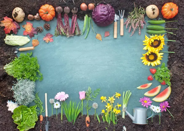 有机的四季收获概念在黑板上 水果和蔬菜生长在堆肥中 免版税图库图片