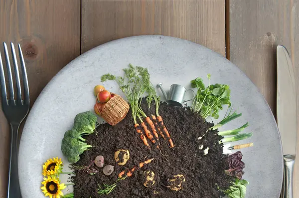 Organic Fruits Vegetables Growing Eco Compost Circle Plate Cutlery Stock Picture
