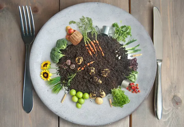 在有餐具的盘子上的生态堆肥圈中生长的有机水果和蔬菜 免版税图库图片