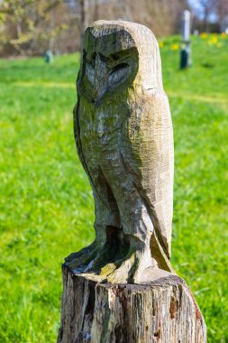 Essex, UK - April 2nd 2023: A wooden owl sculpture at RHS Garden Hyde Hall in Essex, UK. clipart