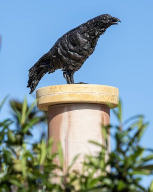 Essex, UK - April 2nd 2023: A Raven sculpture in the Dry Garden at RHS Hyde Hall in Essex, UK. clipart