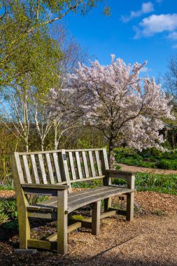 Essex, UK - April 2nd 2023: A beautiful scene at RHS Hyde Hall in Essex, UK. clipart